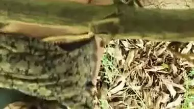 Big ass bhabhi fucking outdoor by her nephew hard in doggy style