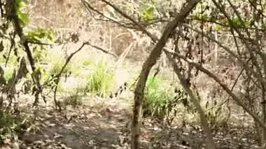 Desi GF Fucked by her BF in the Forest (3 Clips Merged)